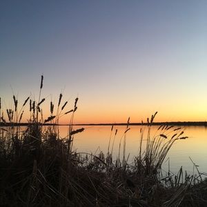 Meet your Posher, Raquel